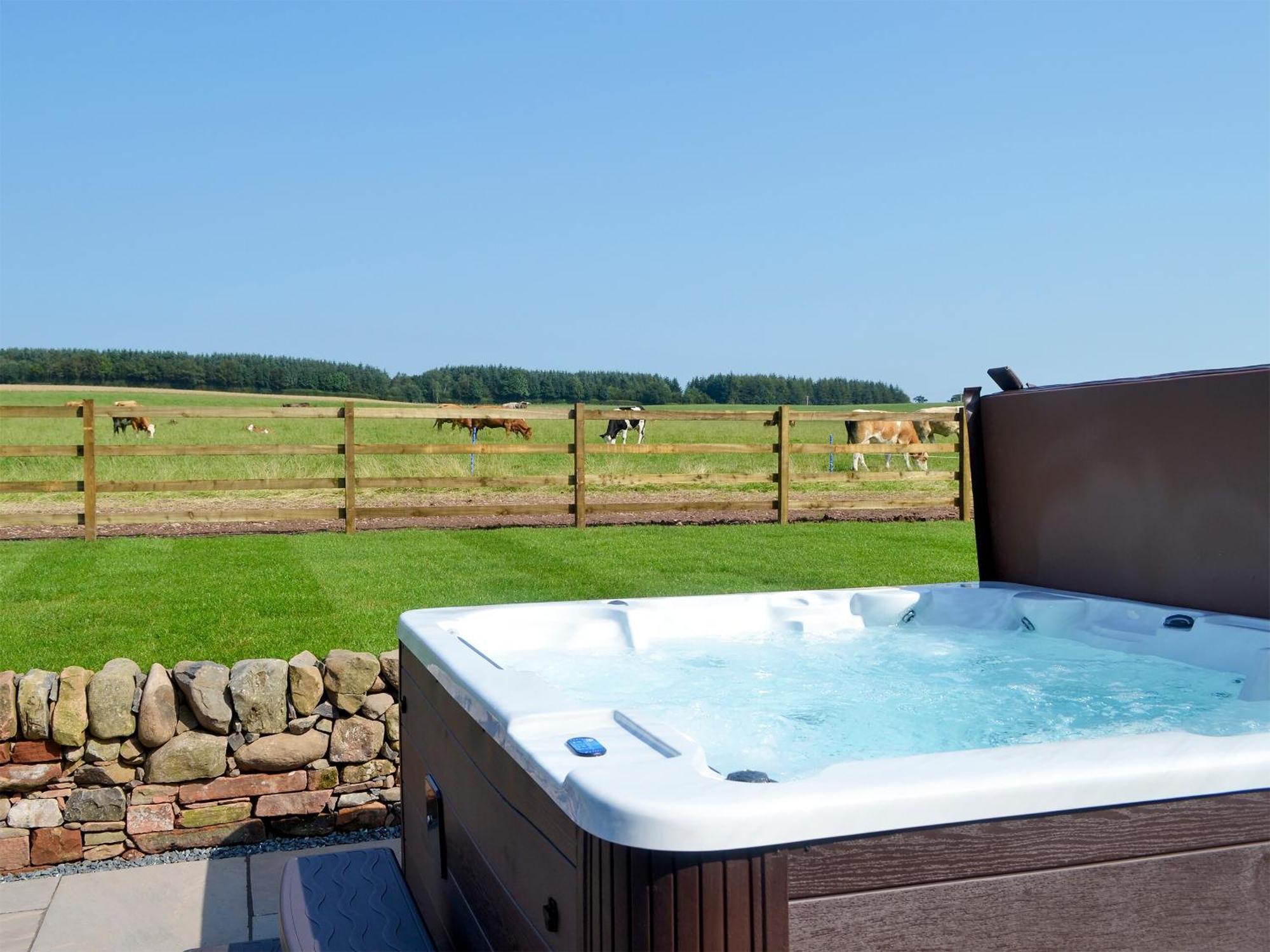 Auchen Ladder Villa Amisfield Town Ngoại thất bức ảnh